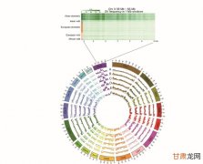 HBV感染类有哪些最新发表的毕业论文呢？