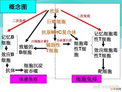 ProSci 艾美捷CXCR4抗体功能参数