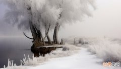 未来三天新疆将有暴雪 后天塔城乌鲁木齐等局地阵风将达10级