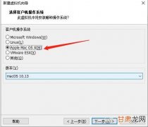 Gromacs 布朗动力学模拟 Gromacs安装教程 虚拟机安装 VMware